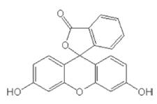 荧光色素成分