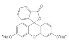 荧光色素成分