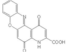 白内障药成分