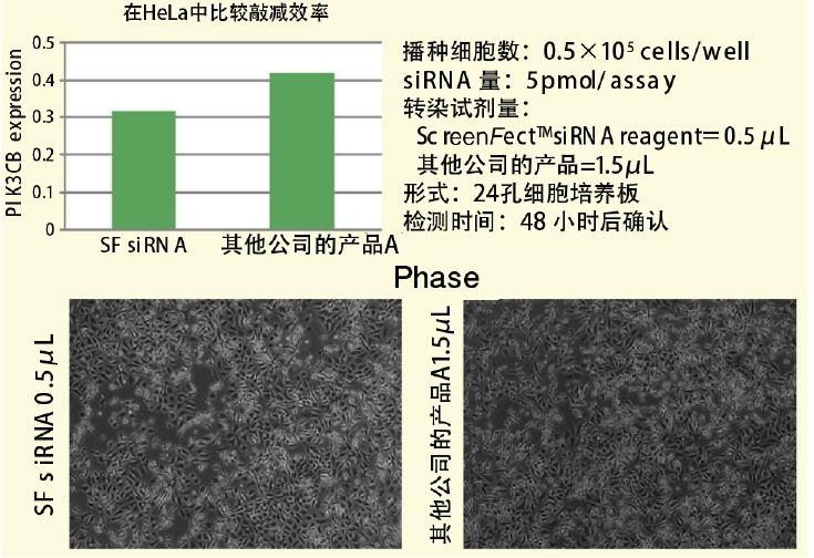 ScreenFect™ 通信 向HeLa细胞导入siRNA数据