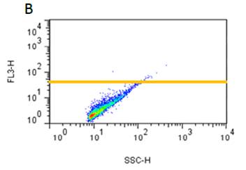 ProteoStat® 蛋白聚集检测