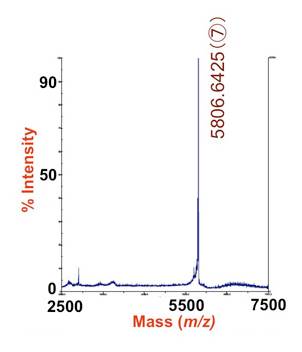 MALDI-MS校正物