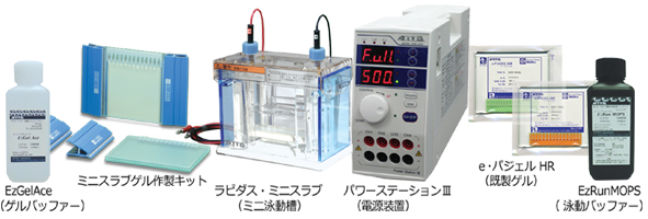 ラピダス・ミニスラブ電気泳動槽 | 8x9cmゲル | PAGE スラブ電気泳動槽 | アトー製品情報 | ATTO