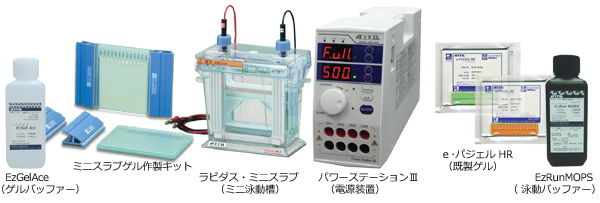 ラピダス・ミニスラブ電気泳動槽 | 8x9cmゲル | PAGE スラブ電気泳動槽 | アトー製品情報 | ATTO