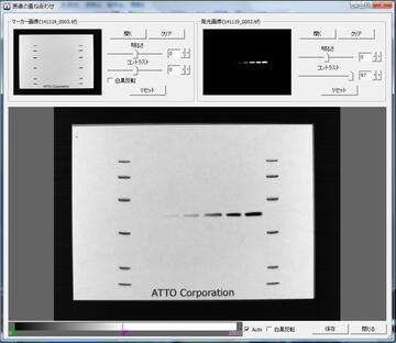 LuminoGraphⅡ（ルミノグラフⅡ） | 高感度化学発光撮影装置 | ゲル撮影・イメージング | アトー製品情報 | ATTO