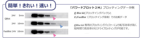 PoweredBLOT 2M （パワードブロット2M） | 電源付ブロッティング装置 | ブロッティング装置 | アトー製品情報 | ATTO