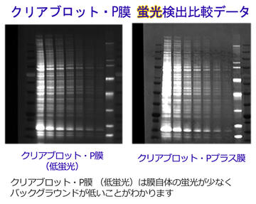 クリアブロット・P膜（低蛍光）シリーズ | ブロッティング・メンブレン・ろ紙 | 試薬 | アトー製品情報 | ATTO