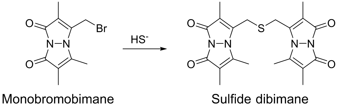 生体硫黄解析用試薬 -SulfoBiotics- Sulfide dibimane　