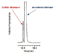 生体硫黄解析用試薬 -SulfoBiotics- Sulfide dibimane　