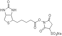 ビオチン標識試薬 Biotin Sulfo-OSu　