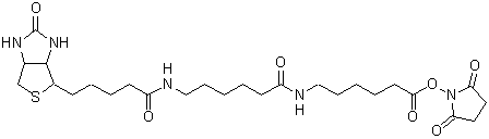 ビオチン標識試薬 Biotin-(AC5)2-OSu　