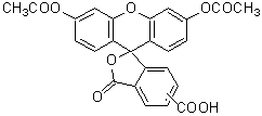 菌蛍光染色用色素 -Bacstain- CFDA solution　