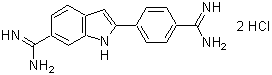 菌蛍光染色用色素 -Bacstain- CFDA solution　